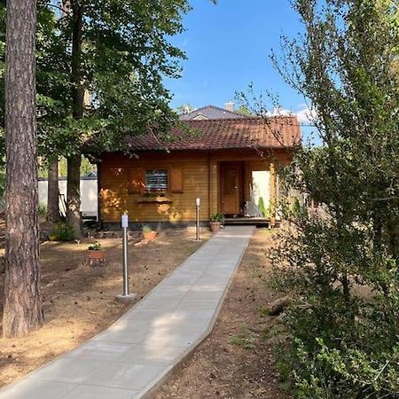 הוילה Königs Wusterhausen Haus Clemens - Gemuetliches Holzhaus Mit Grundstueck מראה חיצוני תמונה