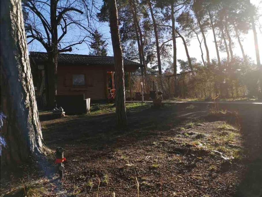 הוילה Königs Wusterhausen Haus Clemens - Gemuetliches Holzhaus Mit Grundstueck מראה חיצוני תמונה