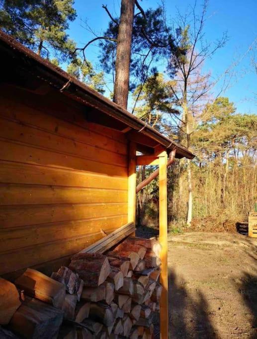 הוילה Königs Wusterhausen Haus Clemens - Gemuetliches Holzhaus Mit Grundstueck מראה חיצוני תמונה